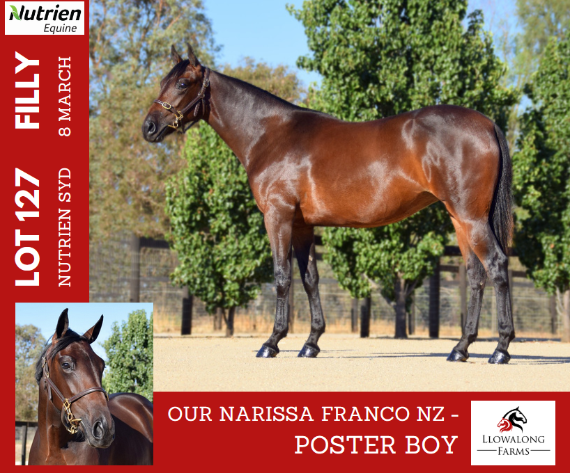 Southcombe Stables (@southcombestbls) on Twitter photo 