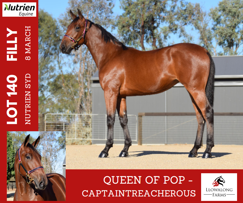 Southcombe Stables (@southcombestbls) on Twitter photo 