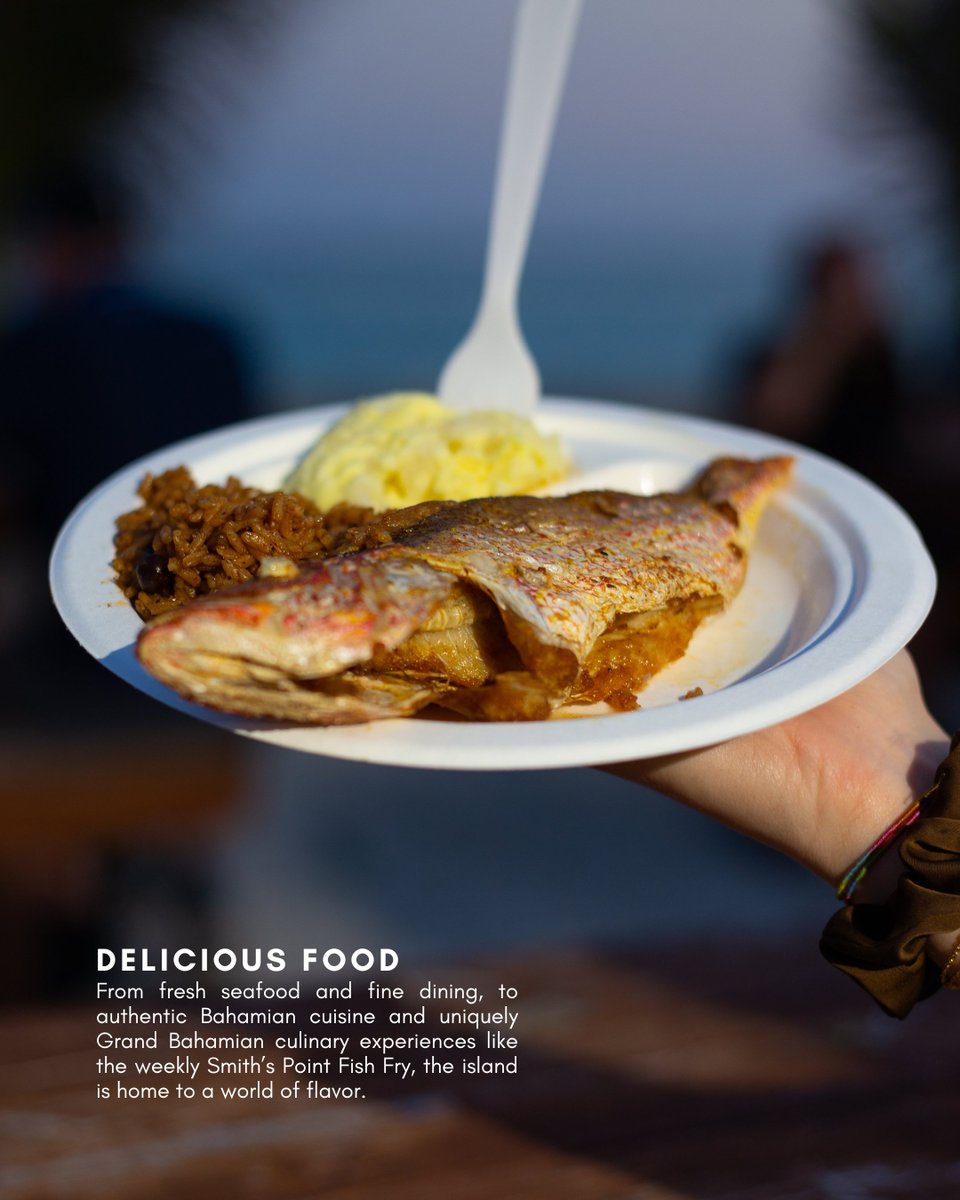 VisitGBI's tweet photo. Need another reason to love Grand Bahama? 🧡

Here are 4  → #SWIPE 

#lovegrandbahama #visitgrandbahama #bahamas https://t.co/kGPmPLWK3i