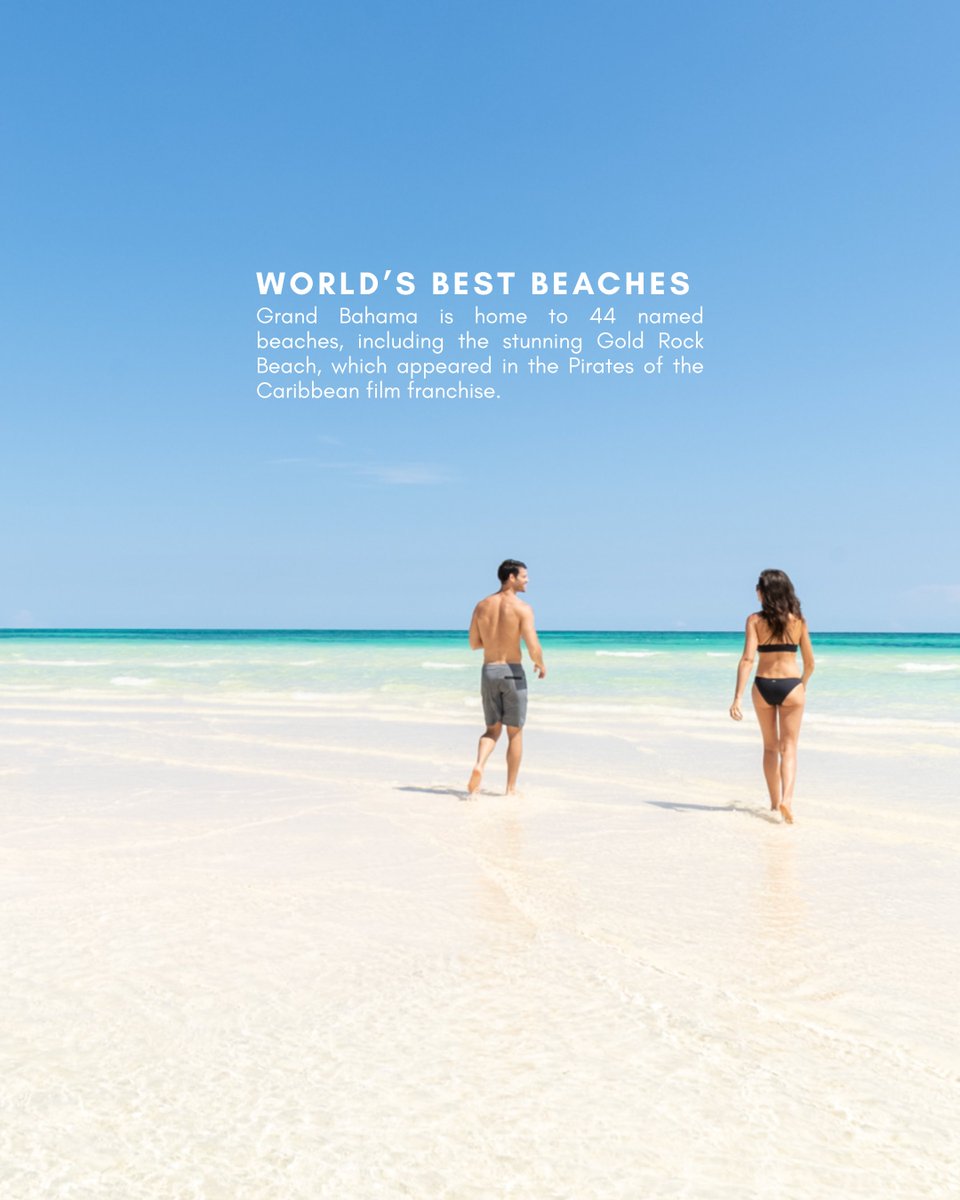VisitGBI's tweet photo. Need another reason to love Grand Bahama? 🧡

Here are 4  → #SWIPE 

#lovegrandbahama #visitgrandbahama #bahamas https://t.co/kGPmPLWK3i