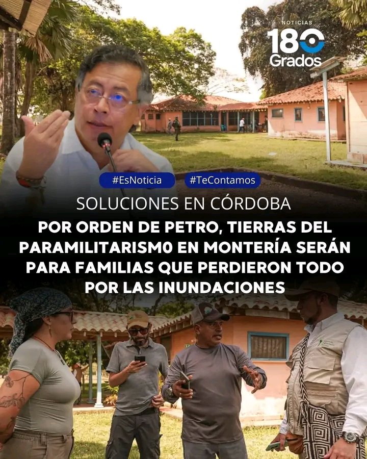 Ave Fénix tweet media