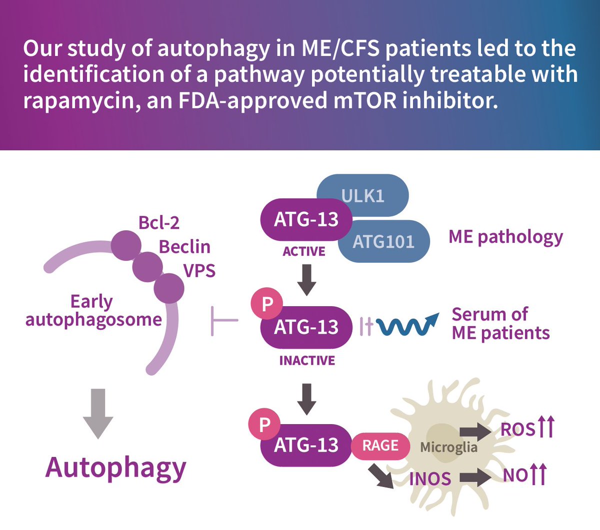 Simmaron Research tweet media