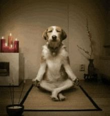 Yo intentando mantener la calma con la universidad