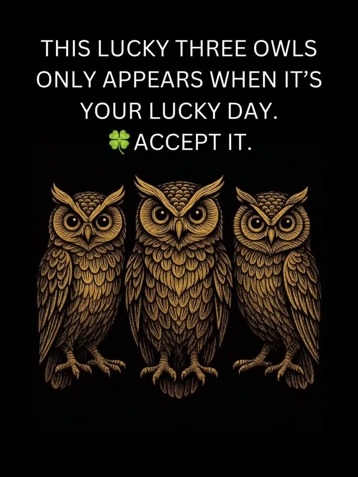 Law_of_attraction tweet media