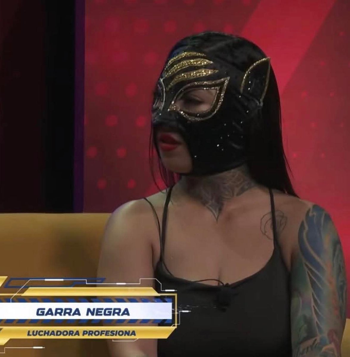 Contacto_InfoMX's tweet image. La división de las #Amazonas sigue creciendo 

En el programa #CMLLInforma se dio a conocer que #Keyra e #HijaDeGatubela, quién ahora será conocida como #GarraNegra se unen a sus filas y debutarán el 6 de marzo en la función femenil, donde enfrentarán a @SanelyCMLL y #LaCatalina