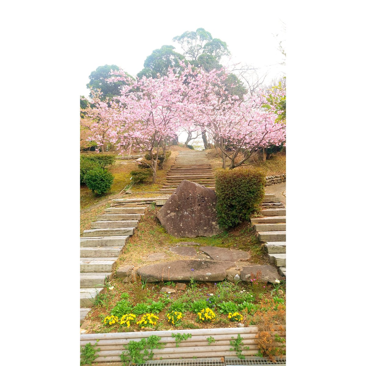 Minaコス 第15回 𝙸𝙽湯ノ児海浜公園 tweet media