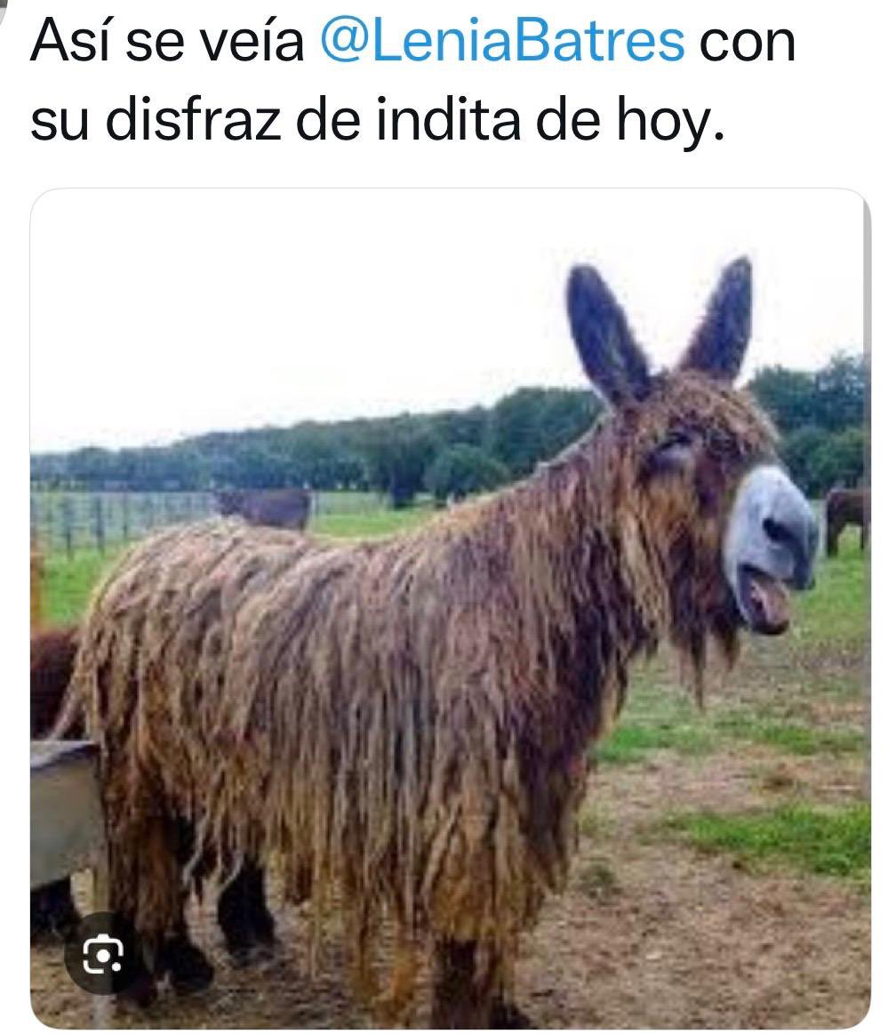 Artljo's tweet photo. @RicardoBSalinas @cazador1954 https://t.co/eAJNkpggAO