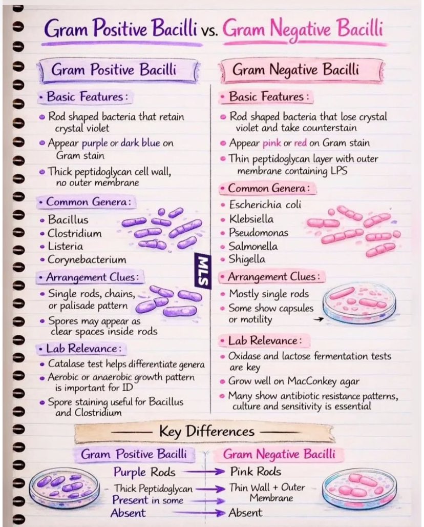 HAITHAM🖤🎓 tweet media
