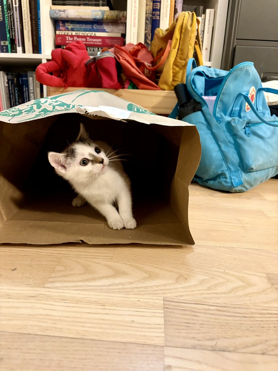 saintsoftness's tweet photo. Temporary cave replacement: https://t.co/nbFyGnBIks