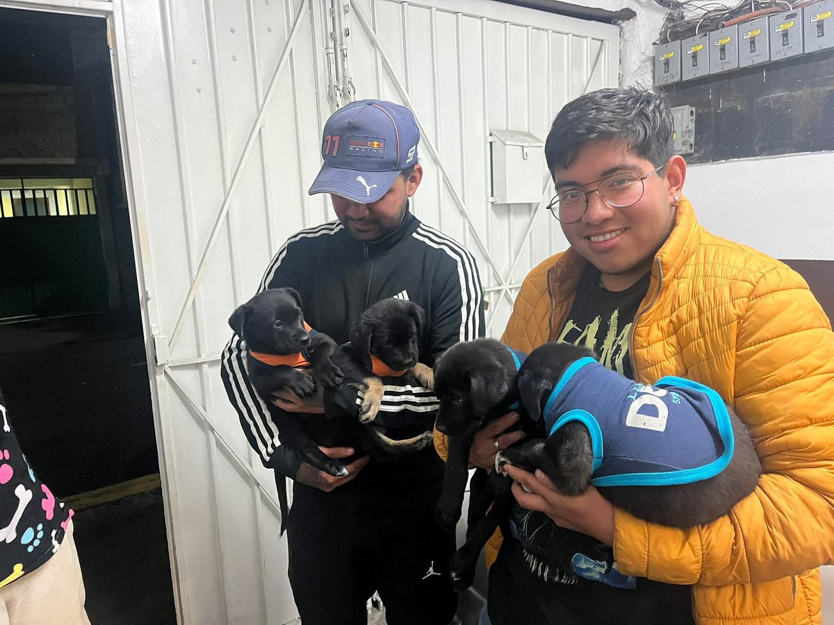 Lorena Becerra tweet media