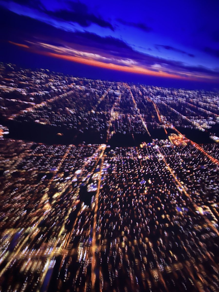 Dr. Cicely Bailey tweet media