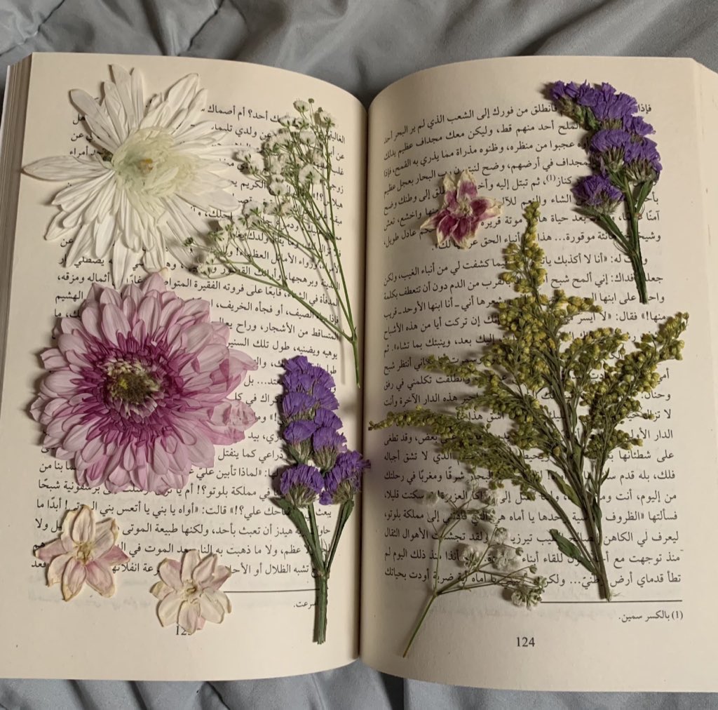 ❀ tweet media
