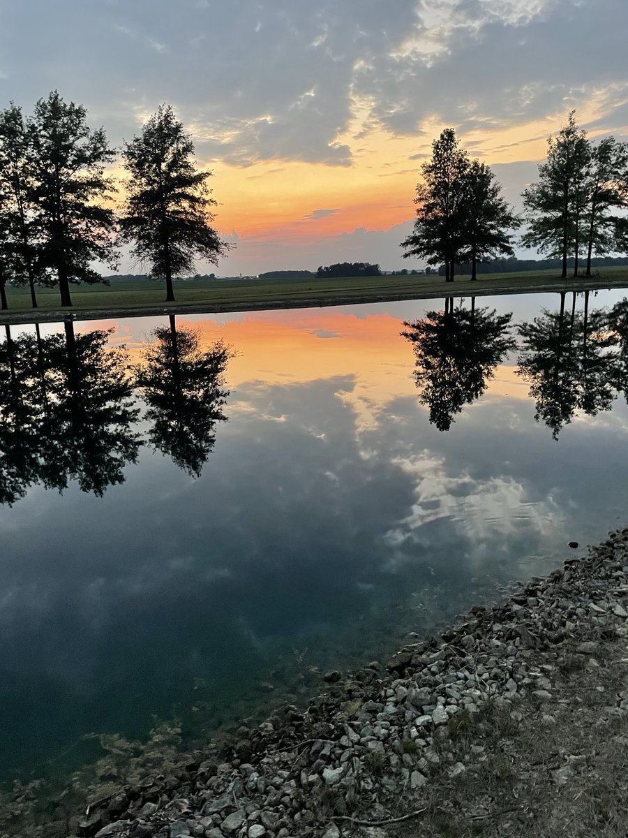 Tom Brunswick tweet media