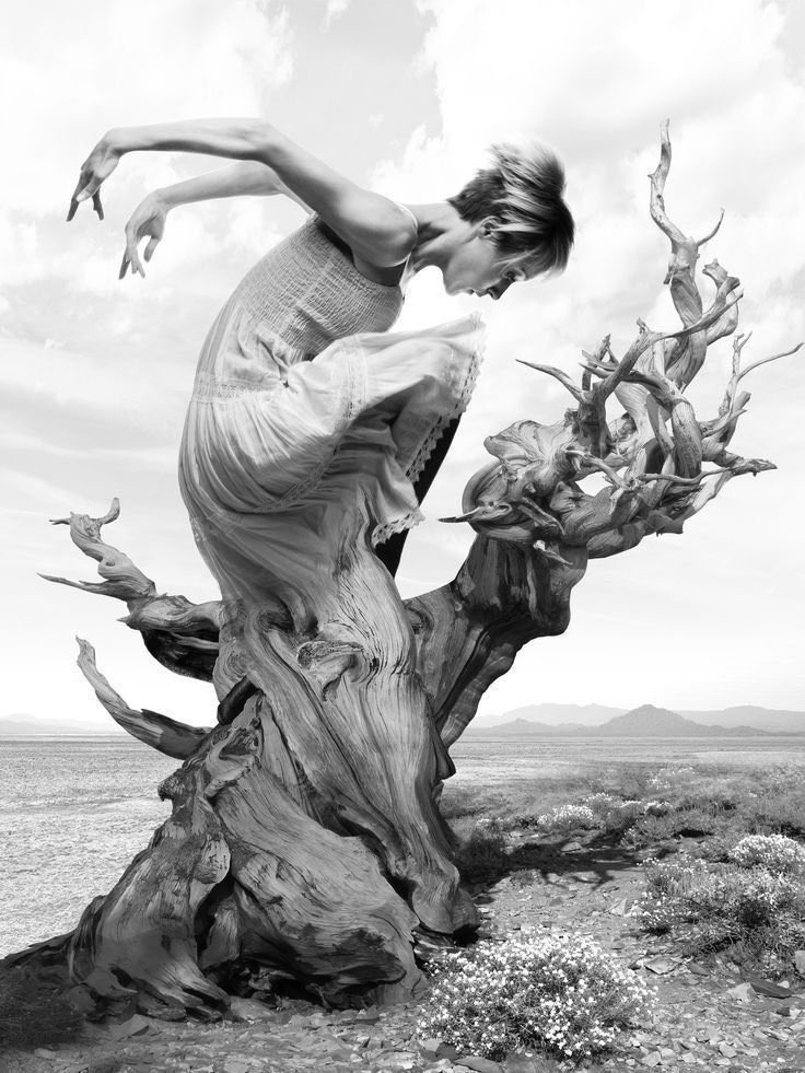 ExhalingFire tweet media