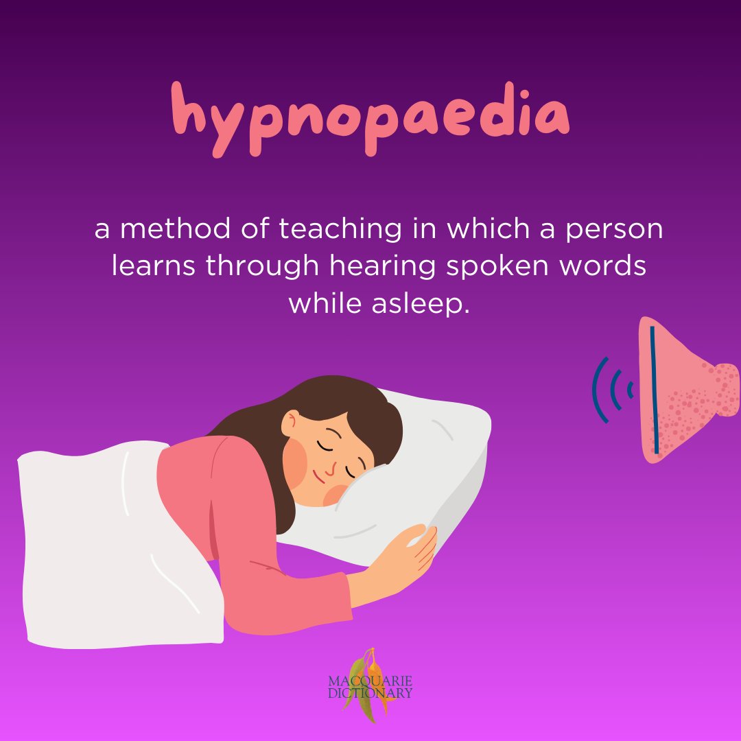 Macquarie Dictionary tweet media