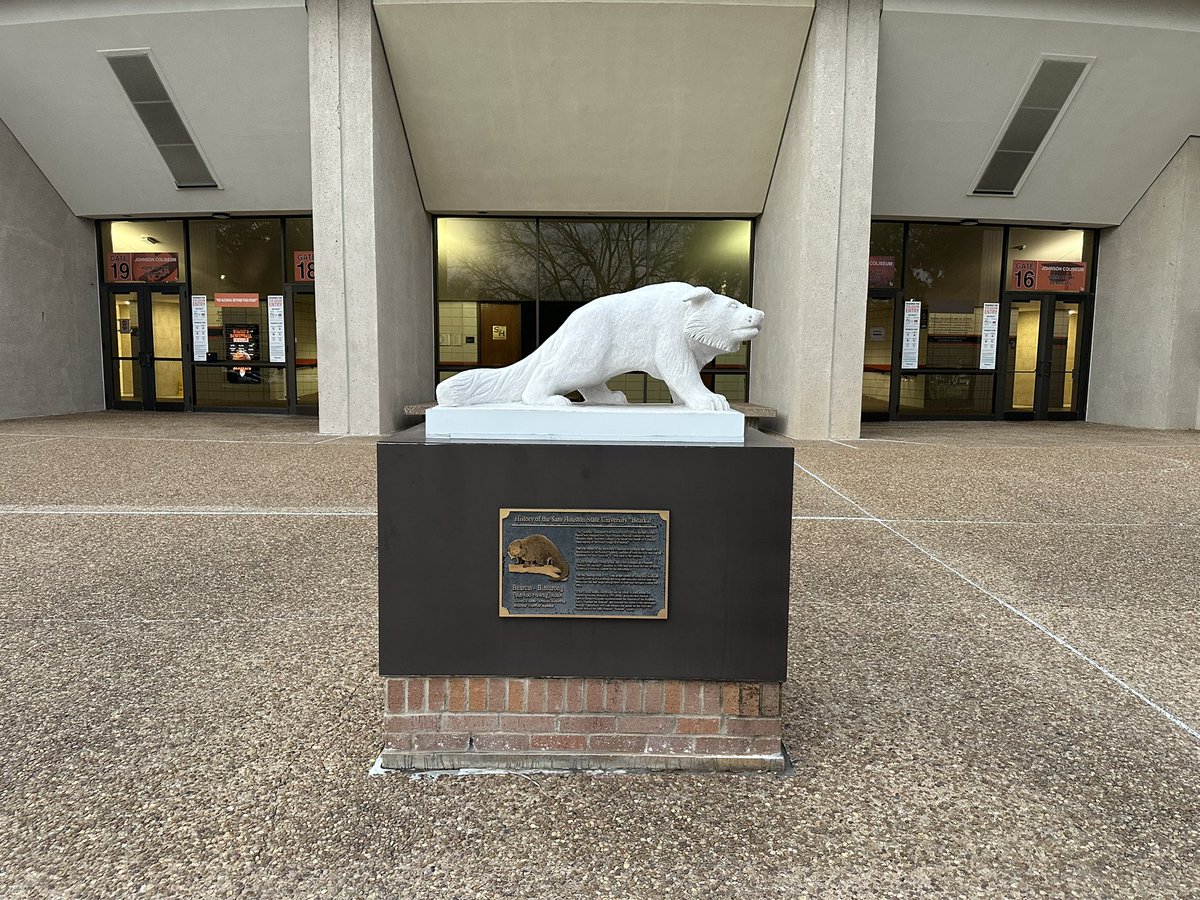 Tyler Gallo tweet media