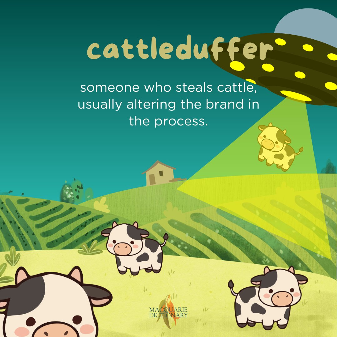 Macquarie Dictionary tweet media