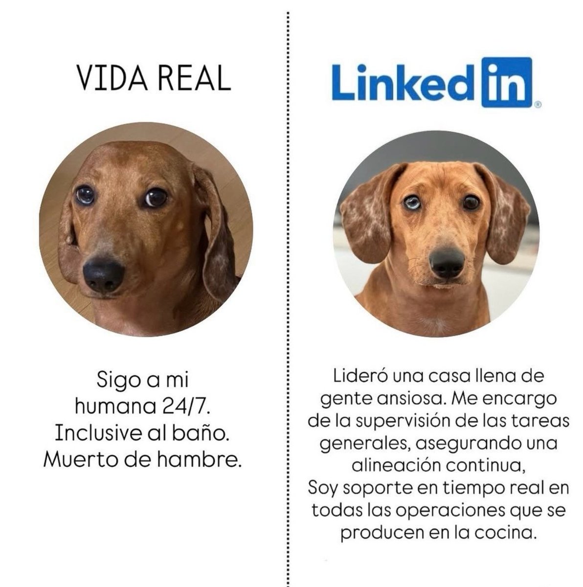 Dannho's tweet photo. 🧍‍♂️ Vida real:
Horas en territorio, llamadas por TODO, incendios 24/7 y café frío.
“No estaba en planificación”. Igual lo resuelvo.
👔 LinkedIn:
Liderazgo estratégico, gestión de procesos críticos y resolución de contingencias.
Es el mismo trabajo.
Solo cambia la perspectiva. https://t.co/OfGB1GNsKQ