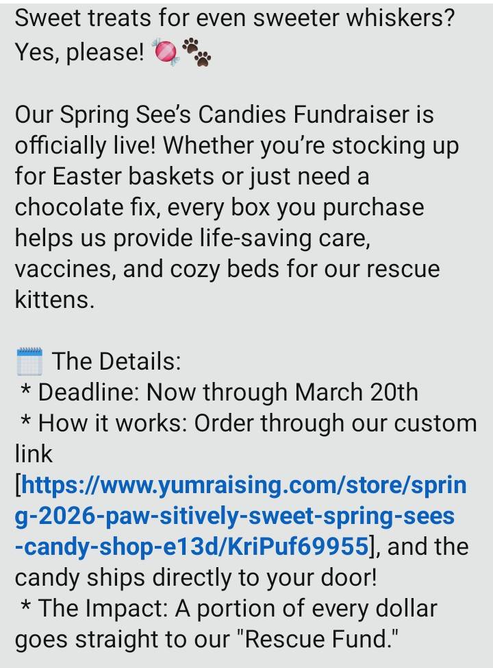 IBRescue's tweet image. Our Spring Sees Candies Fundraiser is live! Join us in making a difference! Every box helps provide care, vaccines, and cozy beds for rescue kittens and puppies.
#KittenRescue #puppyrescue #SpringFundraiser #AnimalRescue #SupportRescue #SeesCandies #SpringVibes #SweetSupport