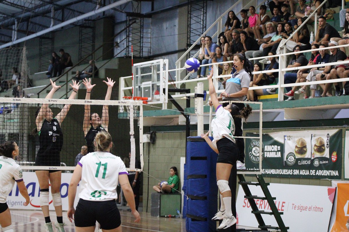 Ferro Voley tweet media