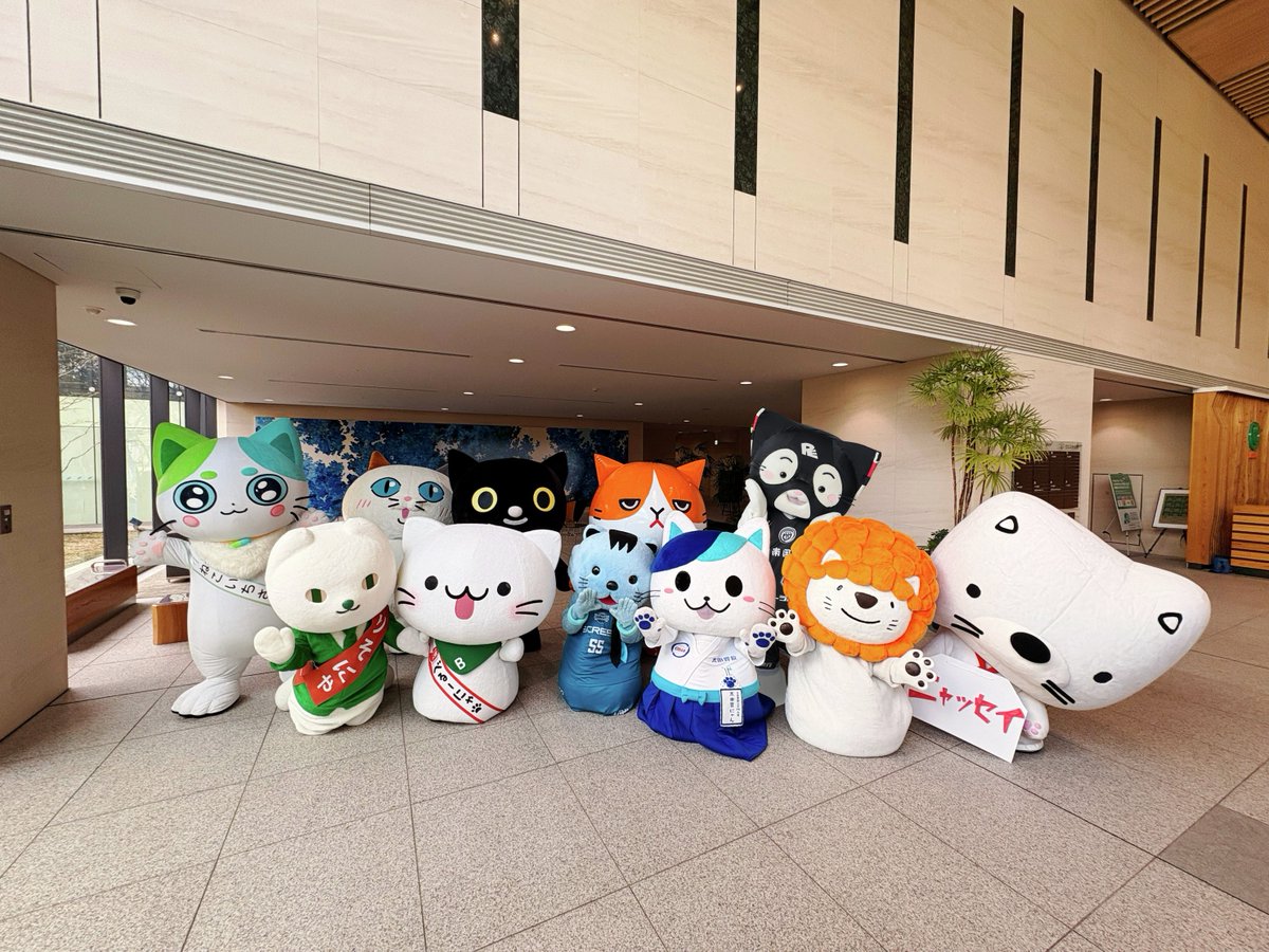 キャンペーンのご応募は明日までとなっております✨
この機会をどうぞお見逃しなく😊  #マスコットキャラクター #ご当地キャラ #プレゼントキャンペーン #猫の手で猫の日を盛り上げ隊2026