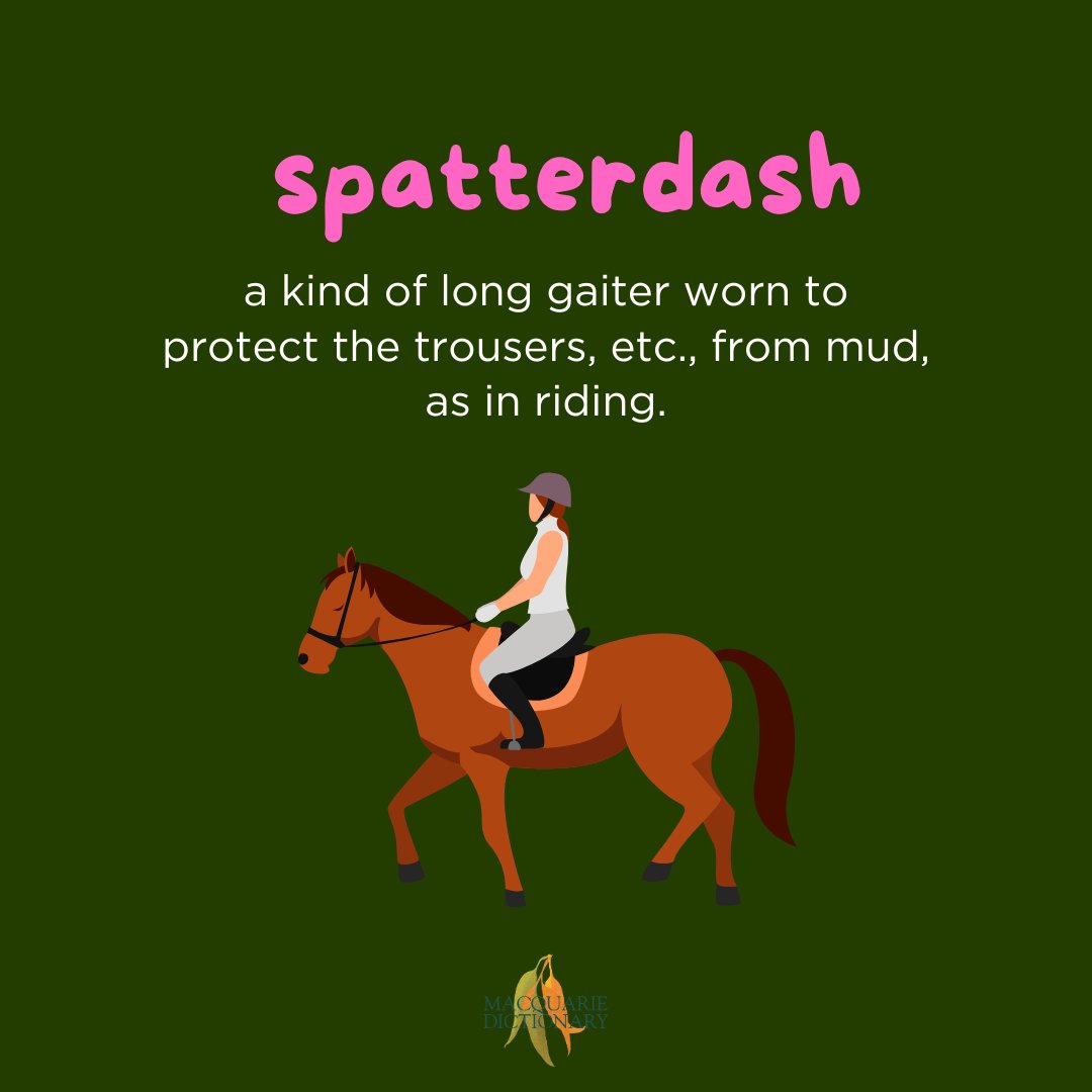 Macquarie Dictionary tweet media