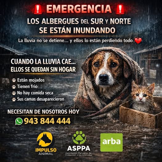 #URGENTE Los animales también son víctimas en desastres, pero siempre son los más olvidados. Las intensas lluvias y huaicos no perdonan porq casi ya no hay árboles q los contengan. Los animales del Norte y Sur del Perú nos necesitan. #Ayuda #temblor info: facebook.com/arba.peru