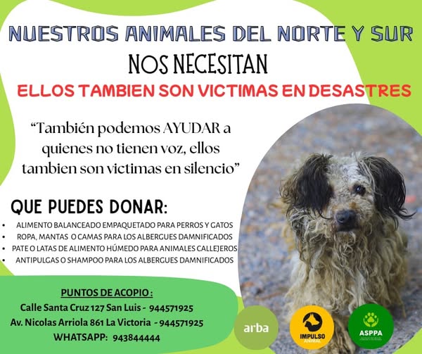 ALCE Perú🐸🐶🐱🐰🐯🐣🐮🐷🐳🐵🐢 tweet media