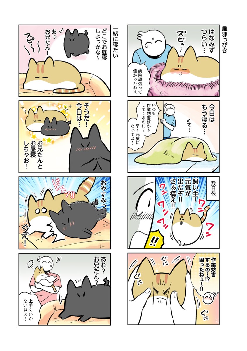 中身をチラ見せ。 