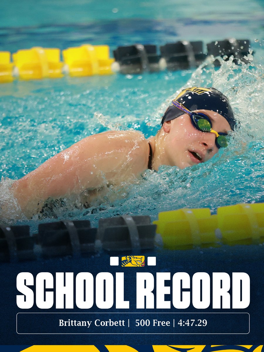 Drexel Swim & Dive tweet media