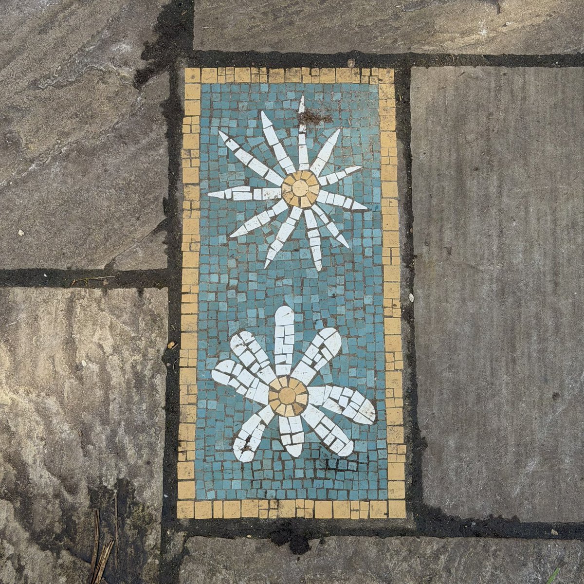 Hashim Kutbi | هاشم كتبي tweet media