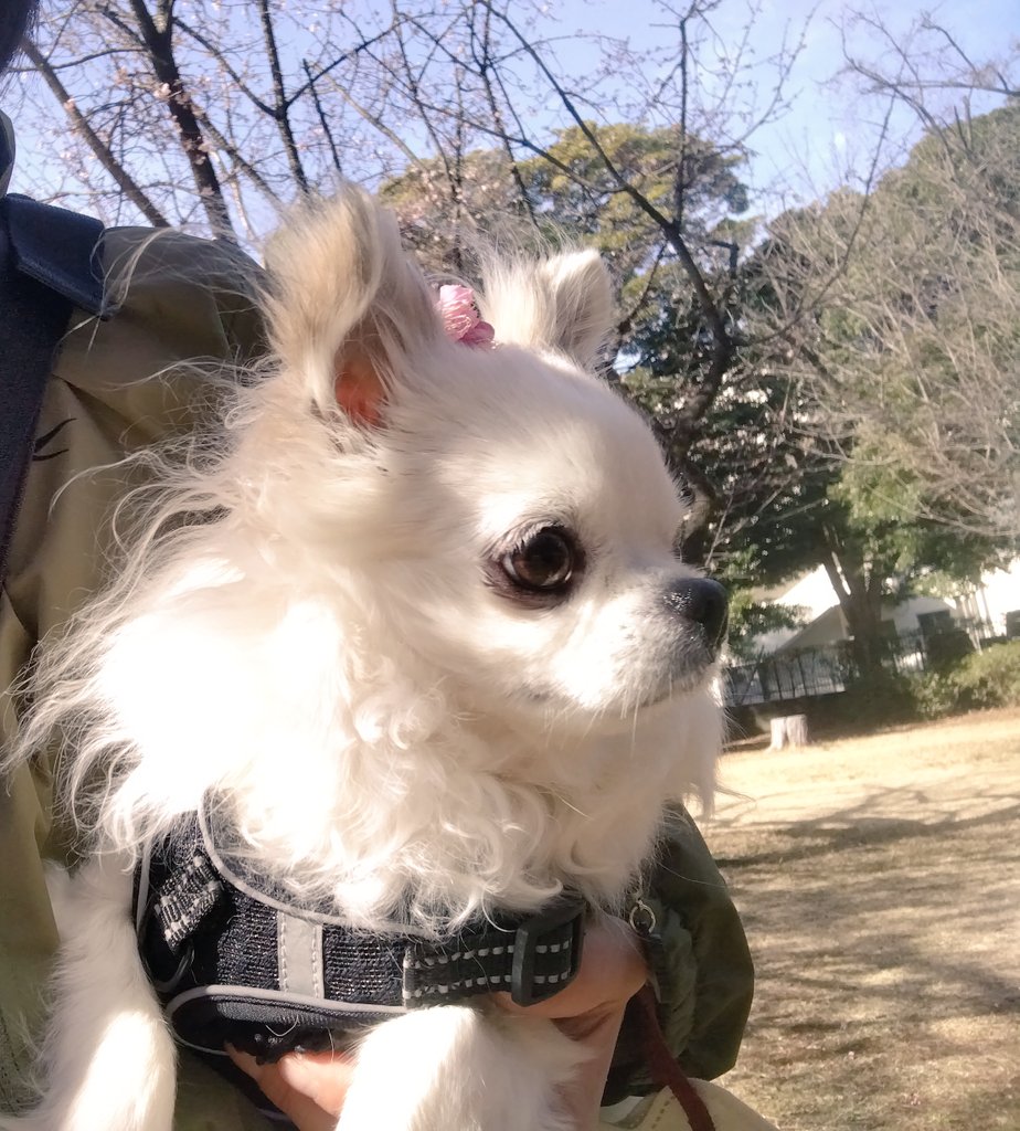 久しぶりに公園へ🌸