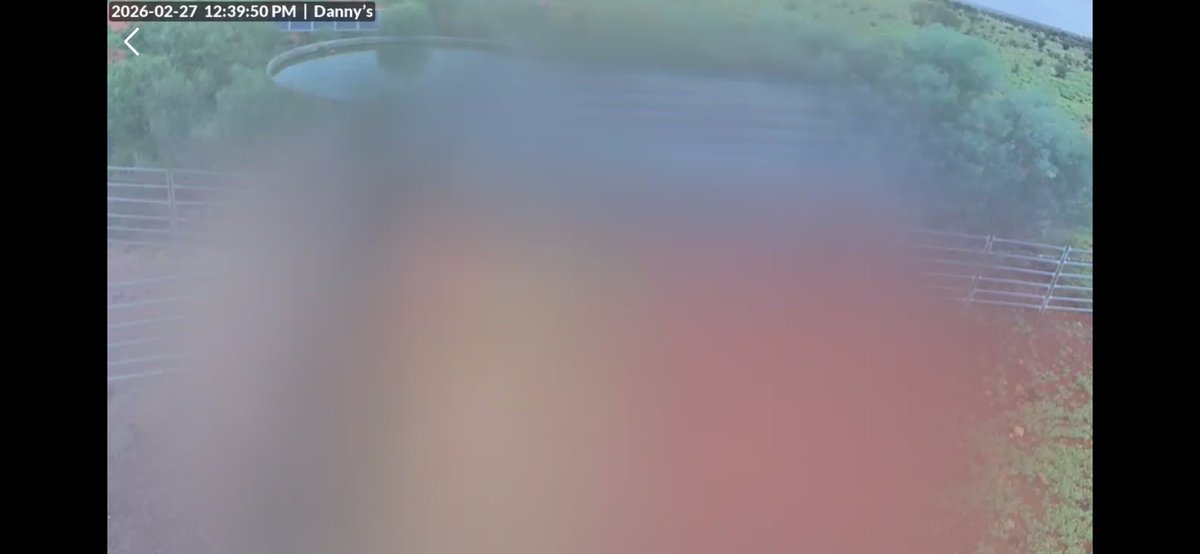 Gillian Fennell tweet media