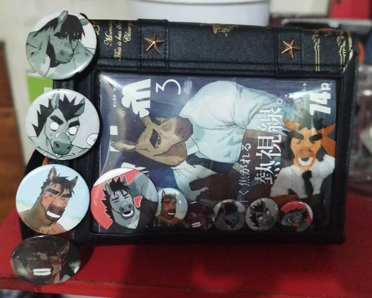 Got a new version of this bag!