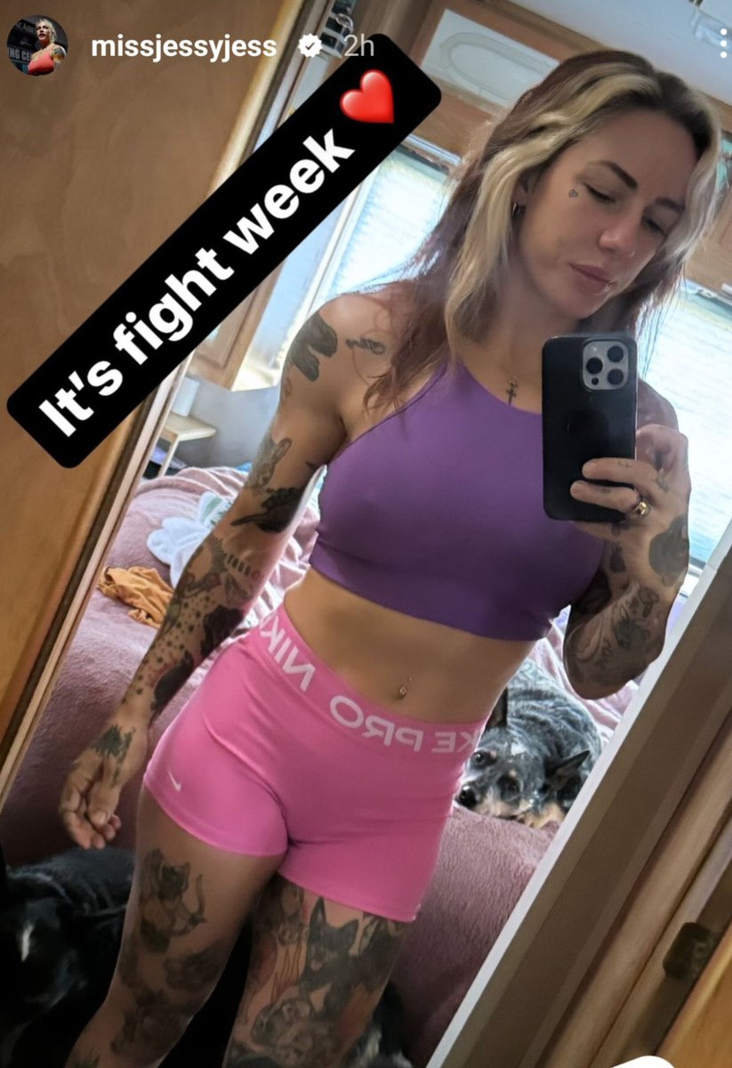 MMA Babes tweet media