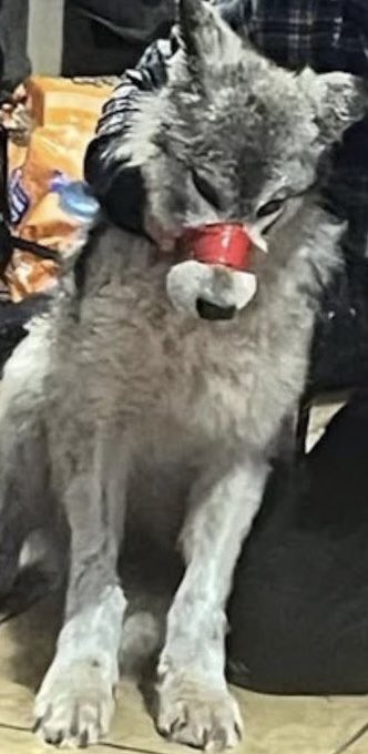 am in umbria tweet media