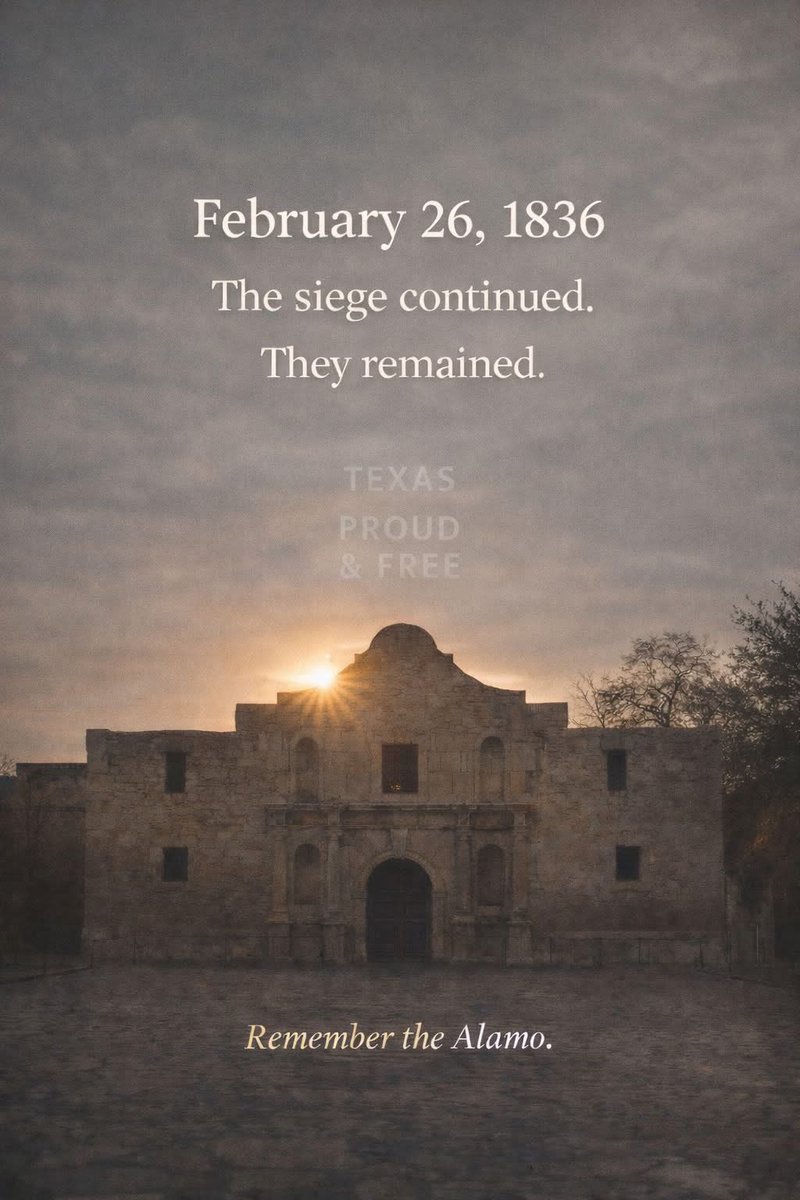 Texas Darlin' 🎀 tweet media