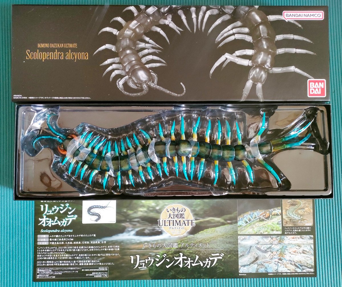 いきもの大図鑑 アルティメット リュウジンオオムカデ来たー！ 彩色