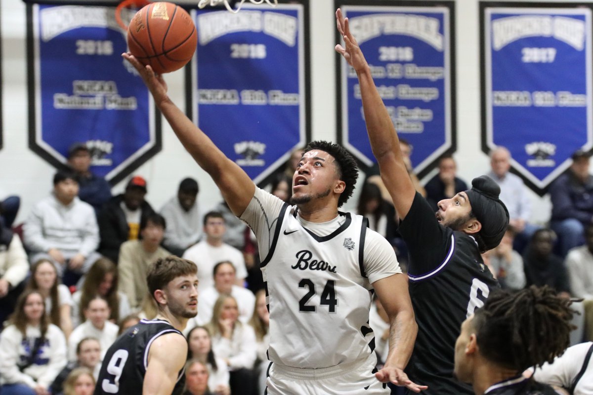 Caree Severson (ICaree) tweet media