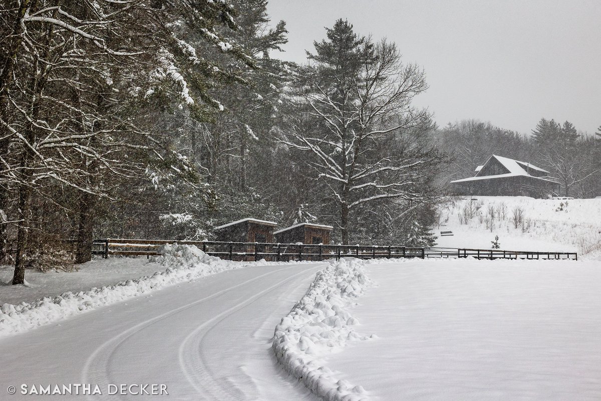 Samantha Decker (she/her) 📷 tweet media