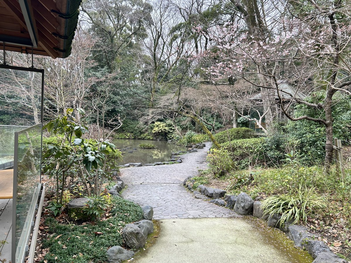 cc_stady's tweet photo. 名古屋、暑いくらいです
日中は半袖じゃないと厳しいっす
朝は涼しくて薄着のジャンパー羽織ってちょうど良い感じ。

桜も準備を始めているようです https://t.co/YtbQc2phWu
