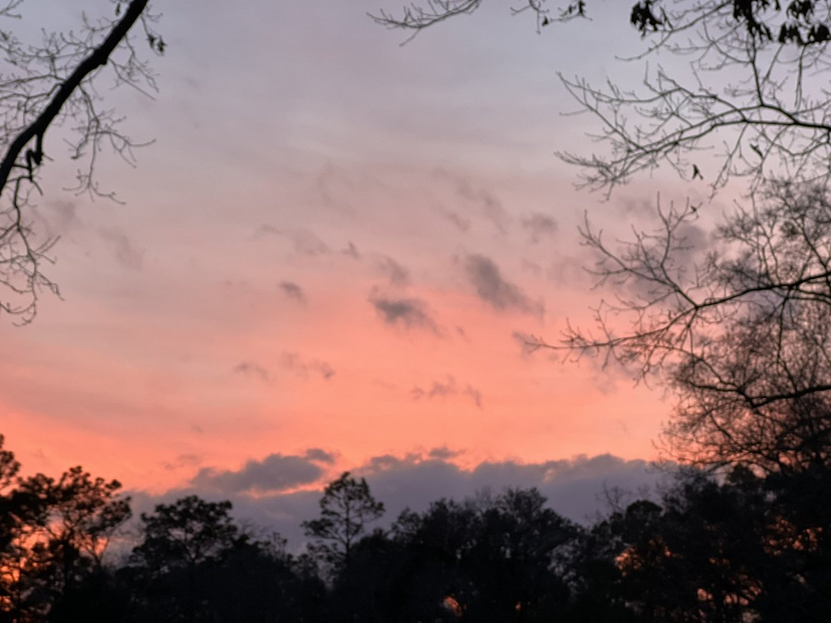 DonnaWells08's tweet photo. The moon and sunset tonight. #Chipley @spann @ChrisSmithPW @justinkieferwx @RyanMichaelsWX https://t.co/P776pVkvSq