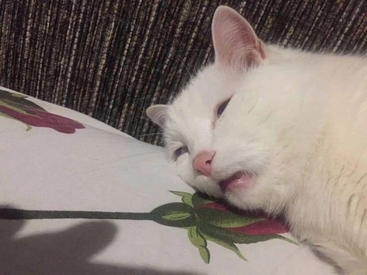 Eureka is the worst it is literally so embarrassing dying to lack of knowledge and having to beg for a rez or lose exp