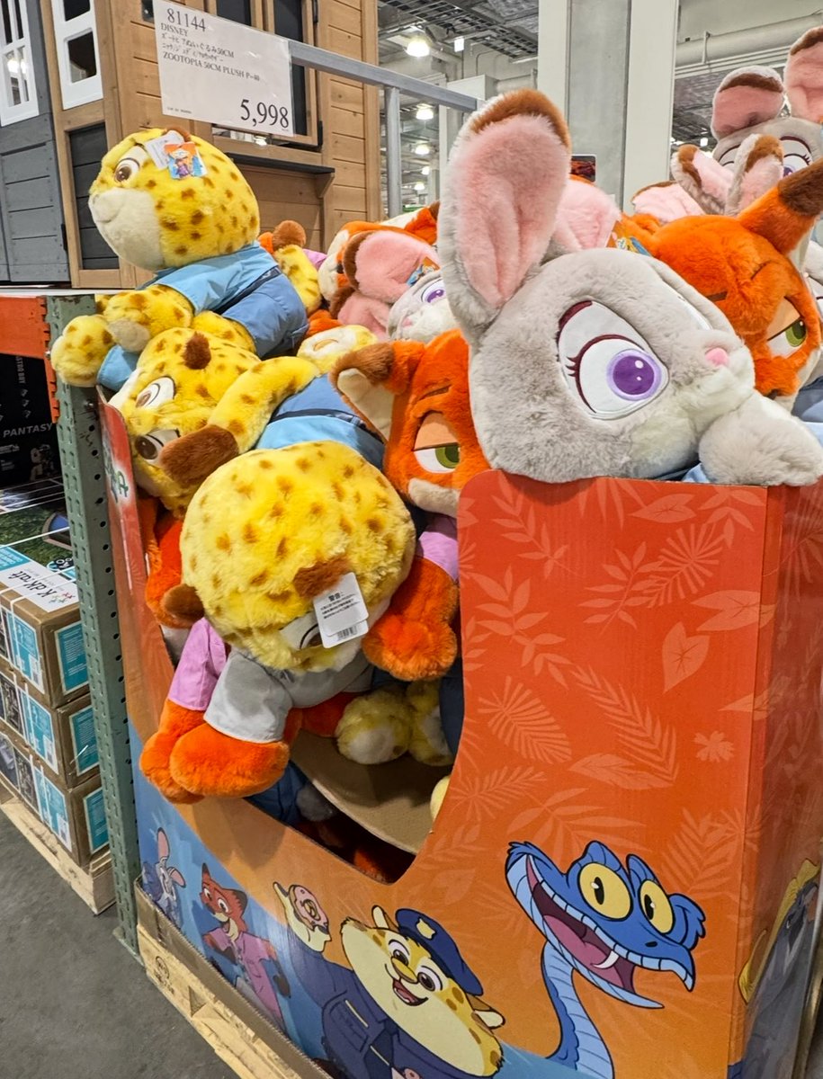 コストコ ＼ズートピア入荷🐰🐯／ 2/27 午前 in浜松倉庫店