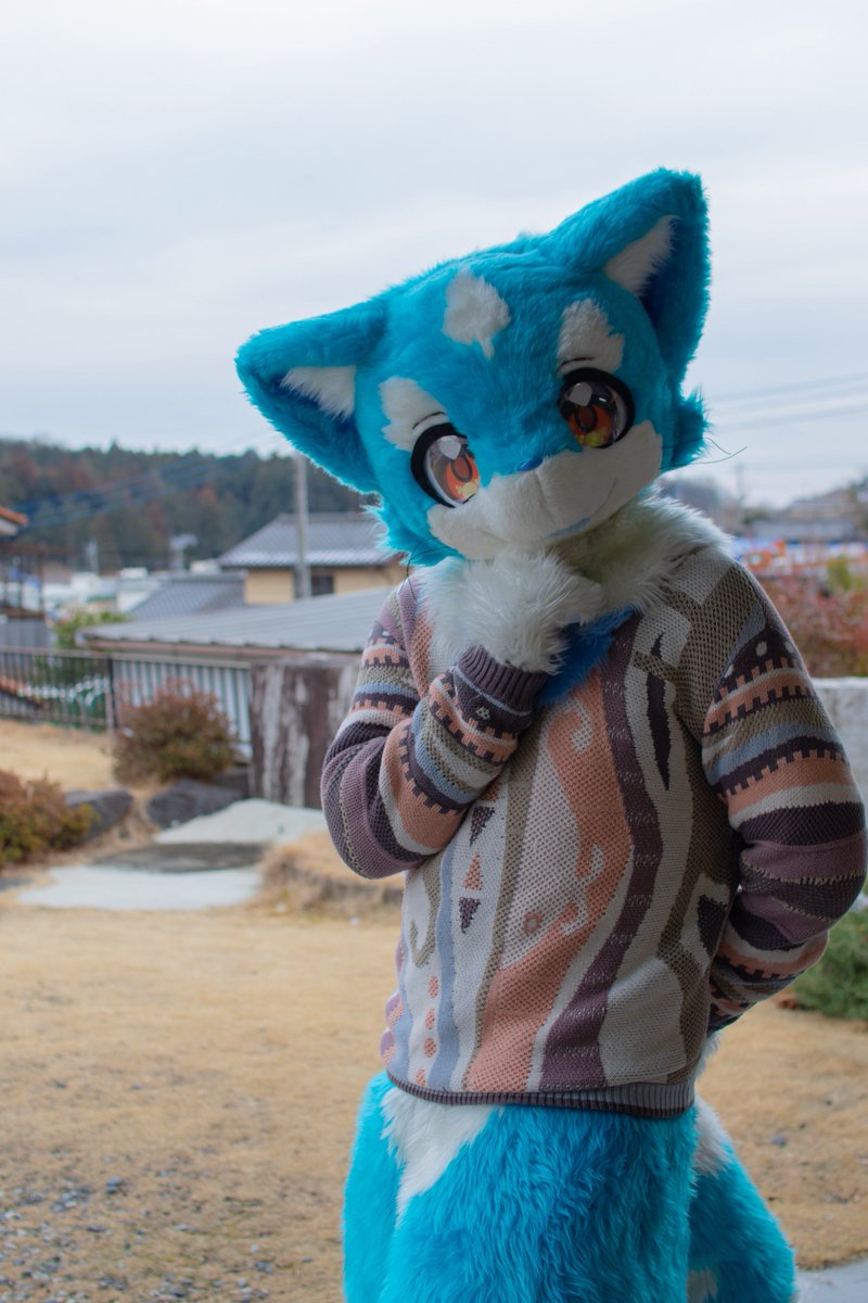 ボラーレ tweet media