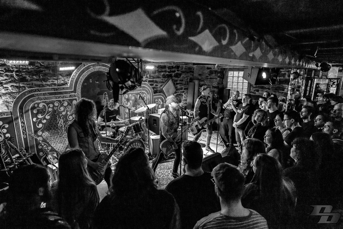 Steve Creep and the Wildcards tweet media