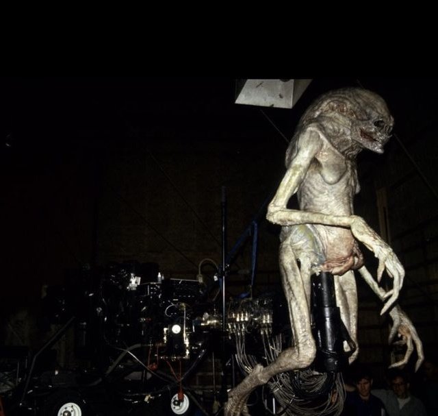 CINEMORPH tweet media