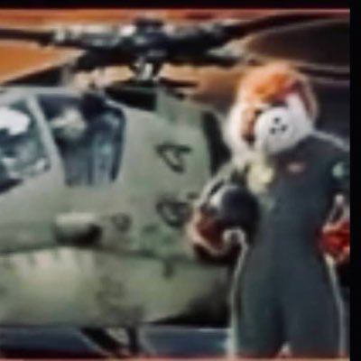 AuburnChopper 🐅🦅 tweet media