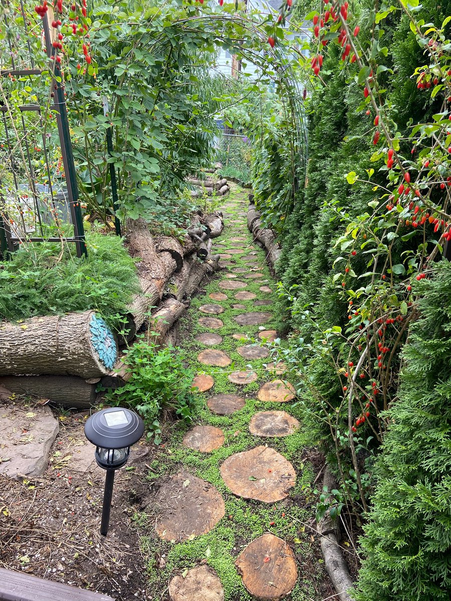 Josh 🍃🫖 tweet media