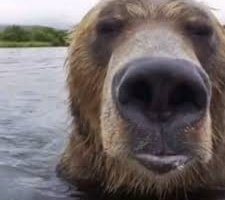 Donghun Youm tweet media